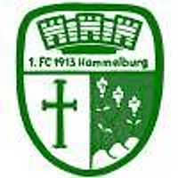 Logo FC Hammelburg