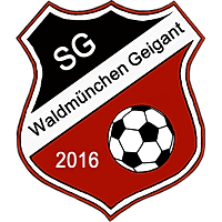 Logo TV Waldmünchen
