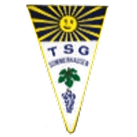 Logo TSG Sommerhausen
