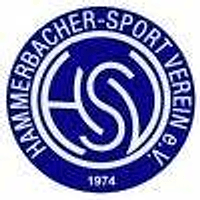 Logo Hammerbacher SV